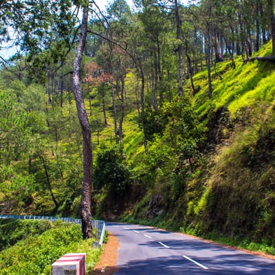 kausani